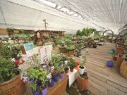 c΃n[uK[fn[gn[u̎ʐ^1