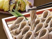 zセΎ[ w ѓcX̎ʐ^1