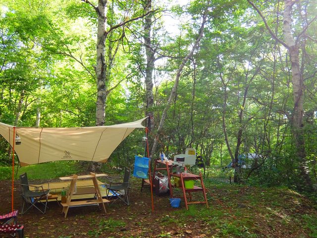 �X�̒��ł̃L�����v�EBBQ �̃C���[�W�B_�O�邢�����̍L�� �I�[�g�L�����v��