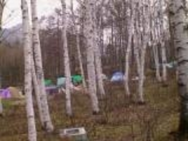 �����J�I�X�̎ʐ^1