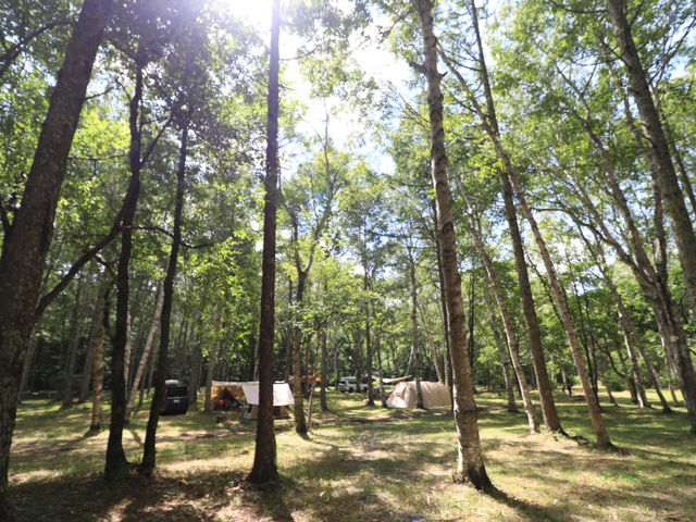 �P�ؕ��z���C�g�o�[�`�L�����v�t�B�[���h