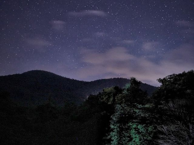 �P�ؕ��z���C�g�o�[�`�L�����v�t�B�[���h