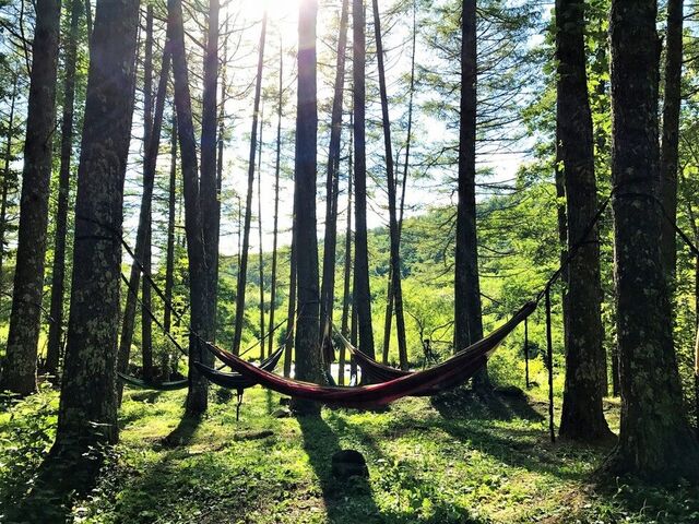 �����L�����v��̎ʐ^1