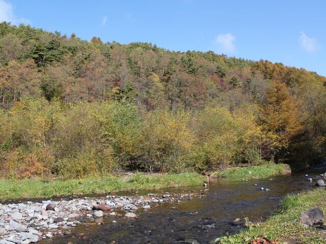 �����L�����v��