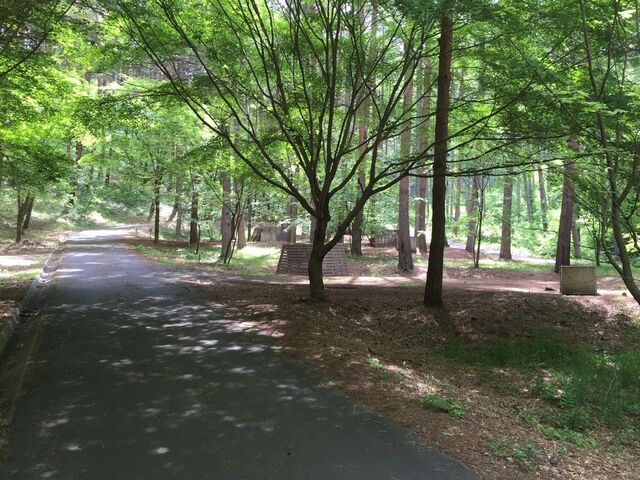 ������I�X�ь����L�����v��