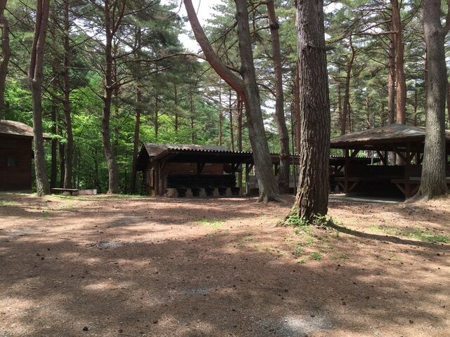 ������I�X�ь����L�����v��