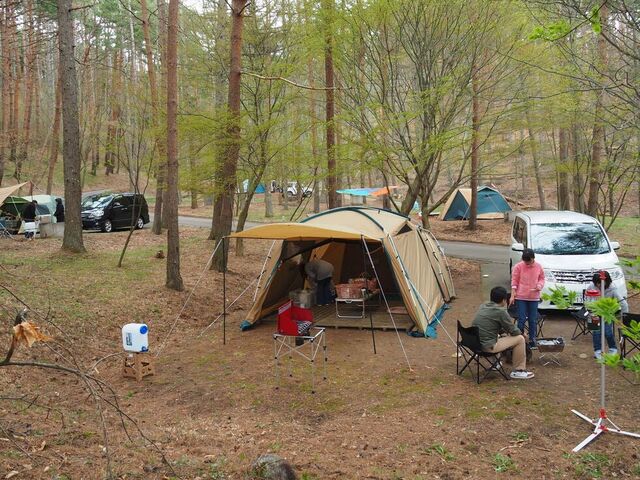 ������I�X�ь����L�����v��