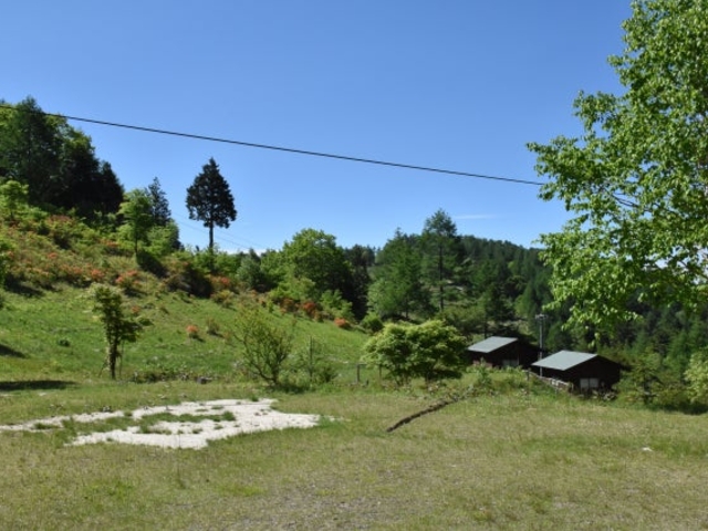 �{�c�����L�����v��