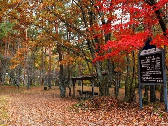 ��q�_���L�����v��