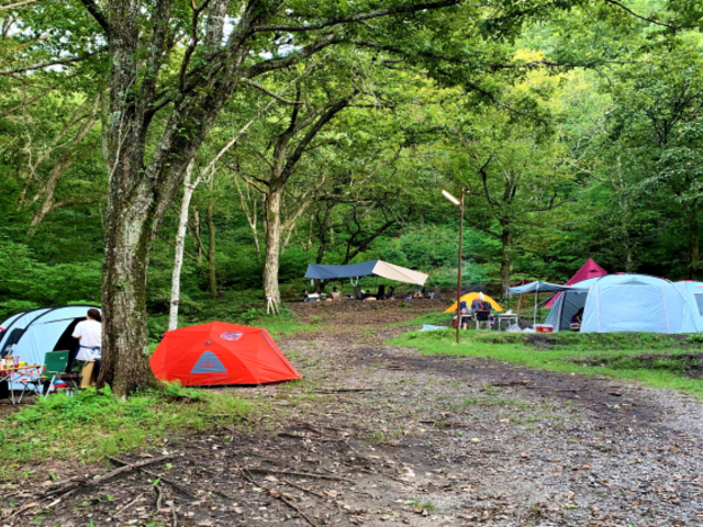 �̂����ǐX�ь����L�����v��