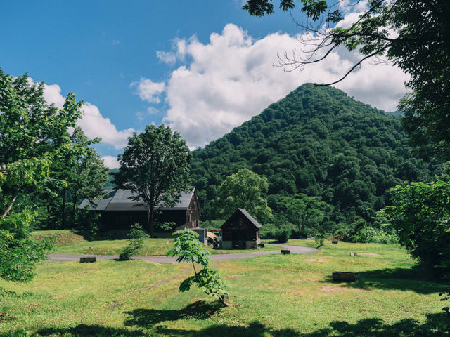 �J�������L�����v��