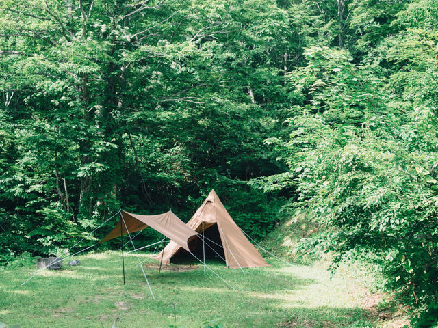 �J�������L�����v��