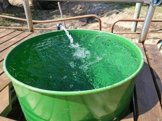 YAMABOKU�O���[���T�C�g