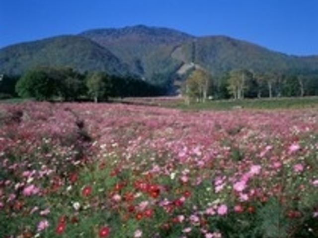 W]䂩͖kfi鍕P̗YȌiF]B_PRXX