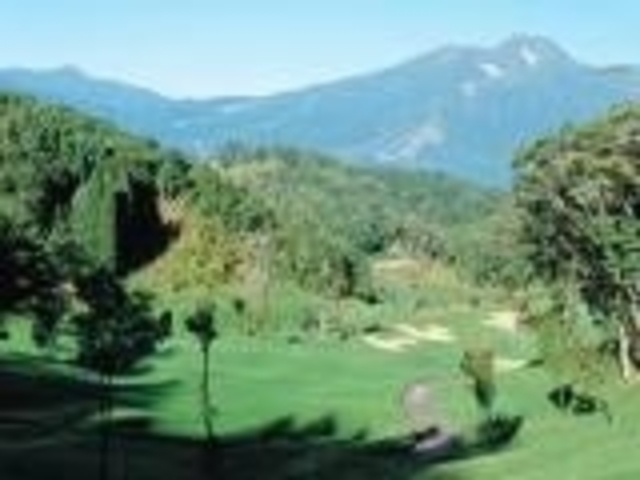 �������}�S���t�N���u�̎ʐ^1