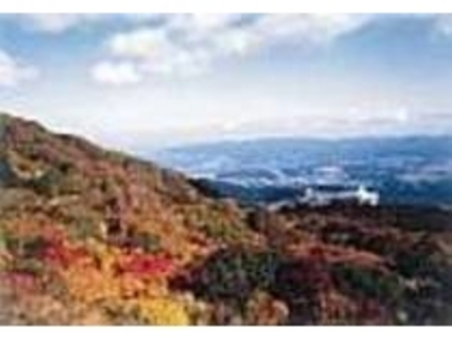 �g�t�̃X�J�C���C���B�E�̔������������_��_�卲�n�X�J�C���C��