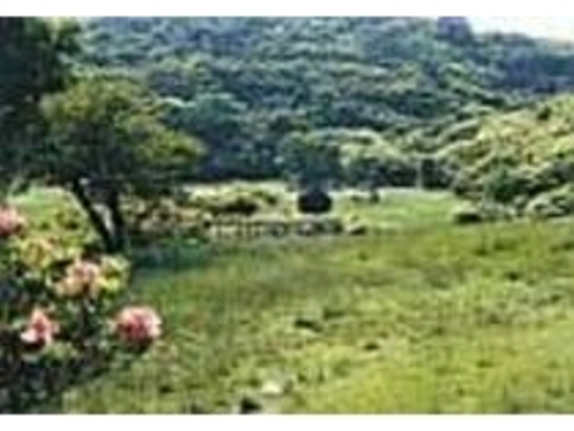 �o�R�ւ̃x�[�X�ɂ��œK�Ȗ����L�����v��_�卲�n�X�J�C���C��