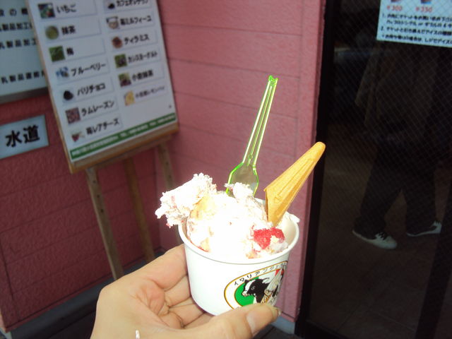 ���c���q��A�C�X�H�[