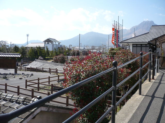 �y�Η���ЉƉ��ۑ�����