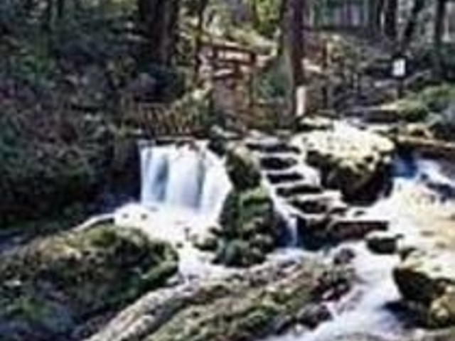 �������炱�̐������݂ɂ���l�������Ƃ�_�ዷ�Z����������