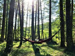 �����L�����v��̎ʐ^1