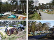 ���{�s����΂���̍��I�[�g�L�����v��̎ʐ^1