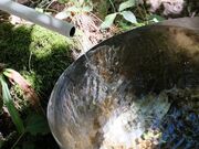 �ˑq�R�L�����v��̎ʐ^2