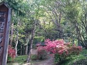 �ˑq�R�L�����v��̎ʐ^1