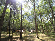 PؕzCgo[`LvtB[h̎ʐ^2