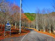 ��q�L�����v���̎ʐ^2