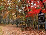 ��q�_���L�����v��̎ʐ^2