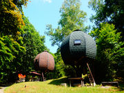 �̂����ǐX�ь����L�����v��̎ʐ^1