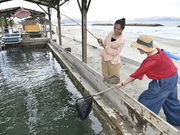 AoAwo Naruto Resort̎ʐ^2