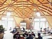 �V����y���̎ʐ^2