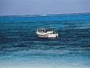 �O���X�{�[�g�̎ʐ^1