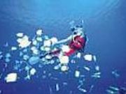 �������_�C�r���O�T�[�r�X�̎ʐ^1