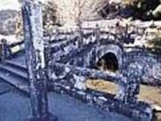 �Α��ዾ���̎ʐ^1