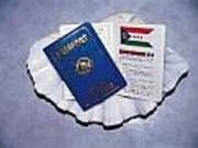 �p�X�|�[�g�̎ʐ^2