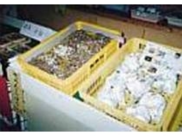 ܂Ȃǘa򑺂̖o낢_̉w㓪Ea򑺂ӂꂠ