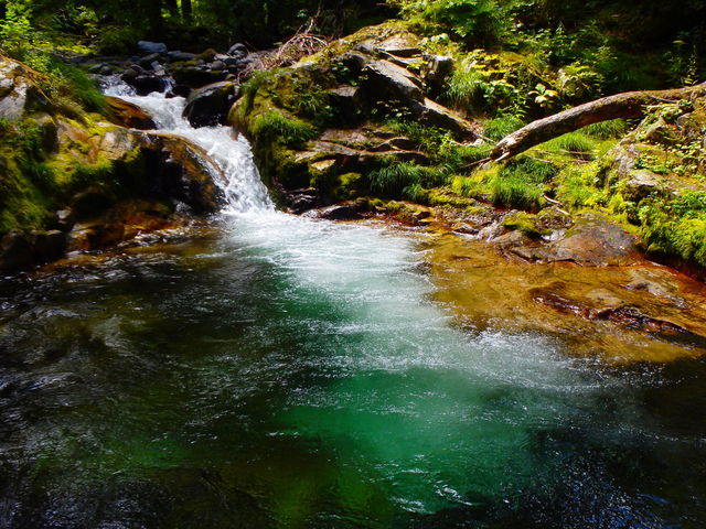 LjIjO[vR[XA|CgfB[vu[Aݐ؂܂_lC`[irQ[^[