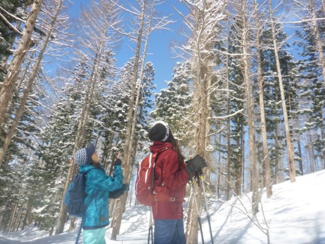 YȐRŗVԐsXm[V[cA[II_JbpCLUB