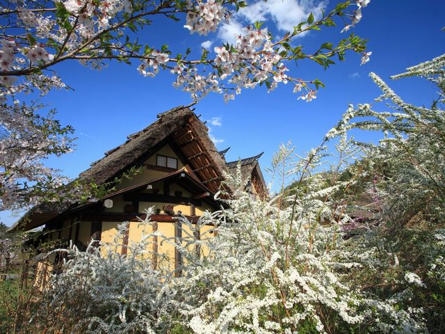 �t�̂���Ԃ��̋�_��t����@����