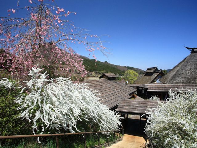 �t�̂���Ԃ��̋�_��t����@����