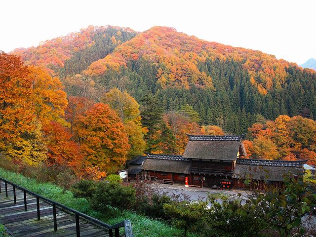 �H�̂���Ԃ��̋�_��t����@����