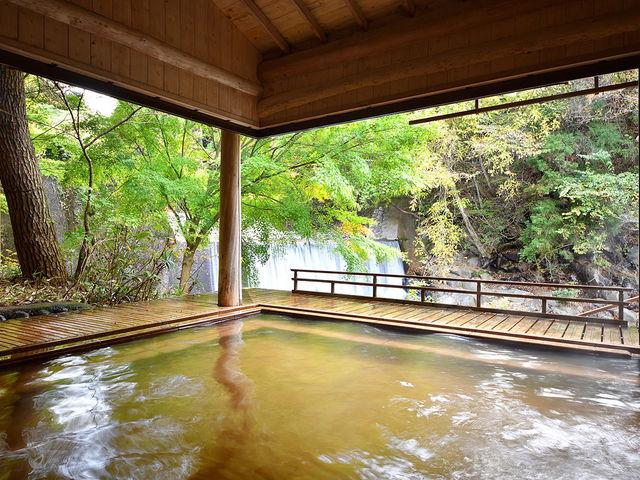 �ꌩ�T���i�I�V���C�j_��t����@����