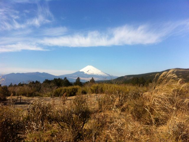 �A�l�X�g��c�@�^�[���p�C�N����