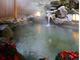 三種の無料貸切風呂と手作り会席料理の湯宿　市川別館　晴観荘の写真2