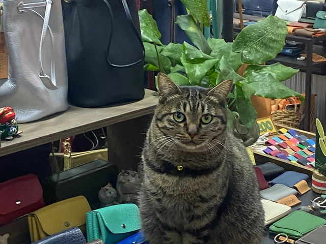 ŔL̃eR_M's FACTORY