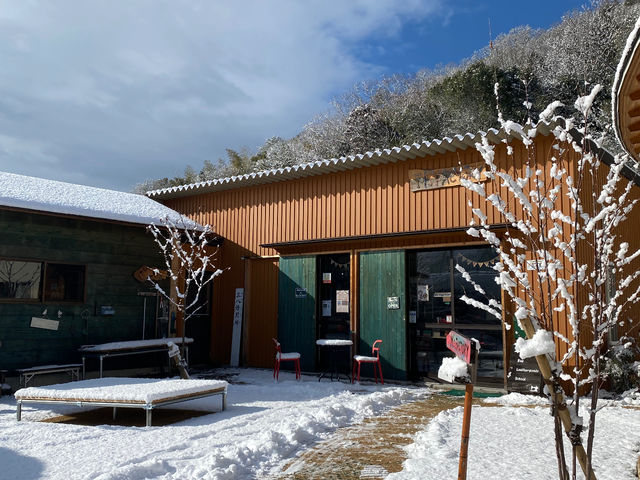 ���܂ɐႪ�ς���܂�_M's FACTORY