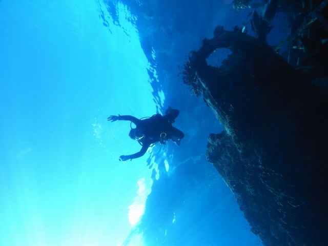 ��ϐ����ߓ����E�{��_�C�r���O�T�[�r�X�X�e�[�V�����@�J�i���A